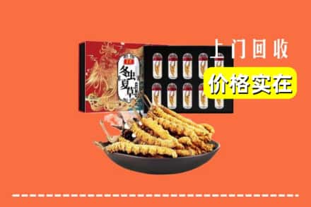 赣州市于都回收冬虫夏草